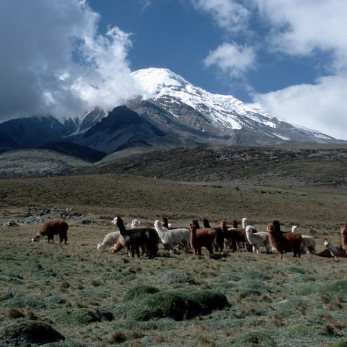 Chimborazo2004