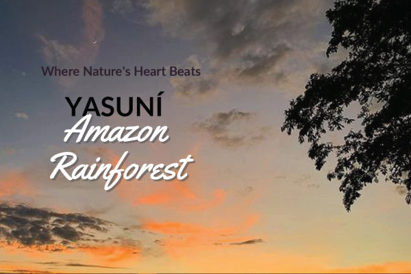 yasuni